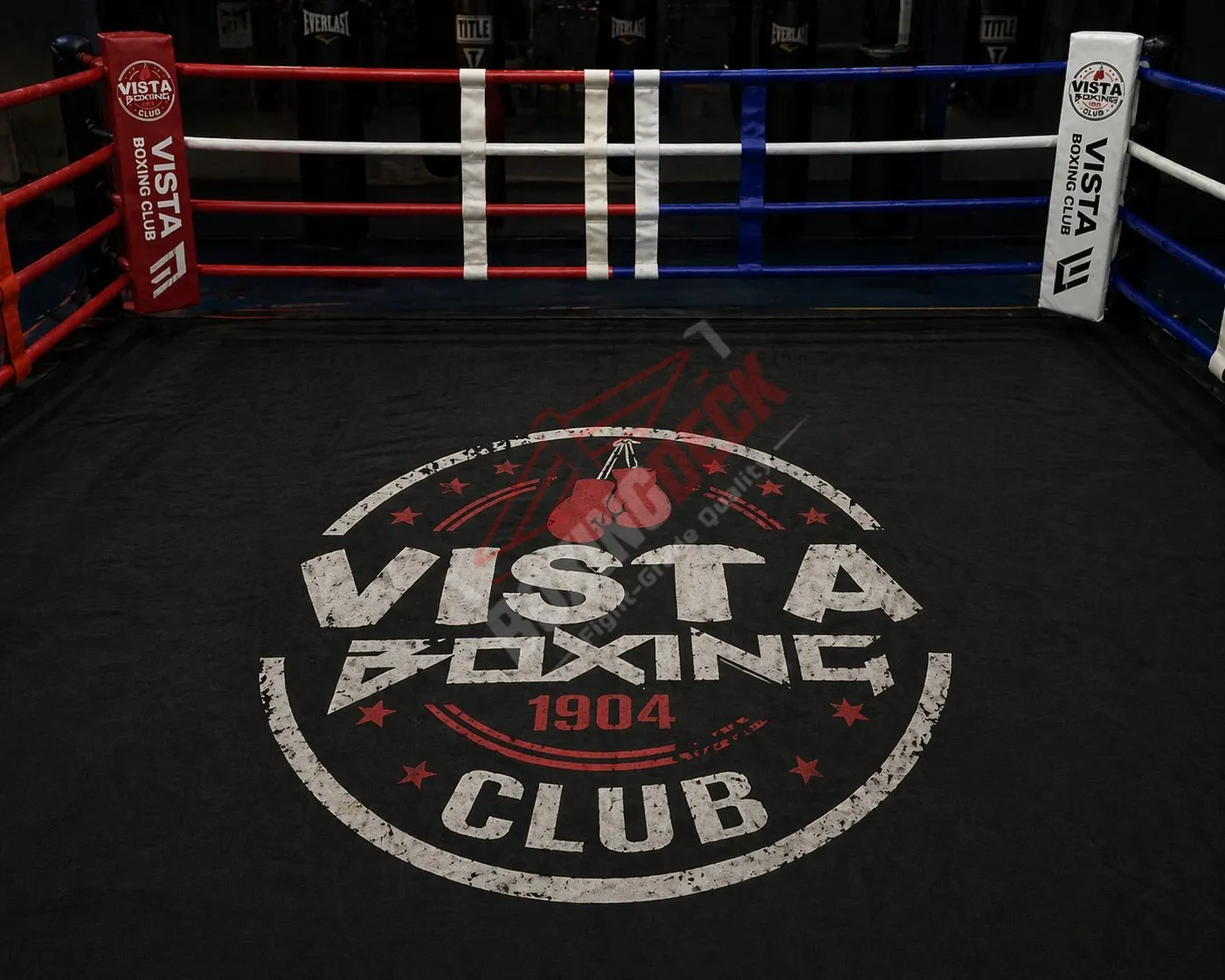 High-Quality Boxing Ring Built for Intense Workouts